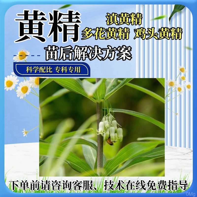 黄精专用苗后处理剂配比科学正品不伤黄精植苗玉竹苗后处理剂