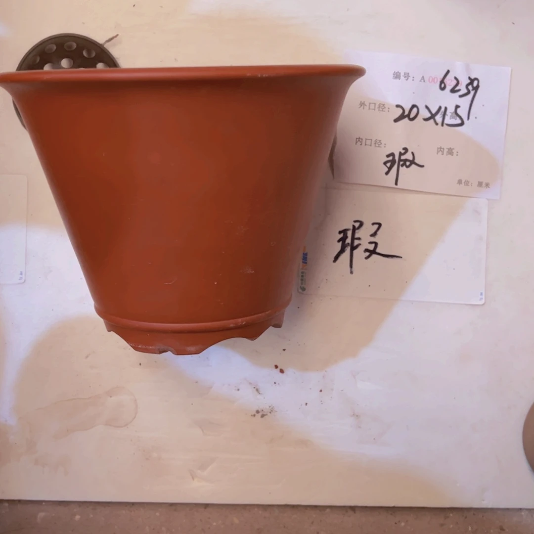 花盆紫砂紫紫砂盆