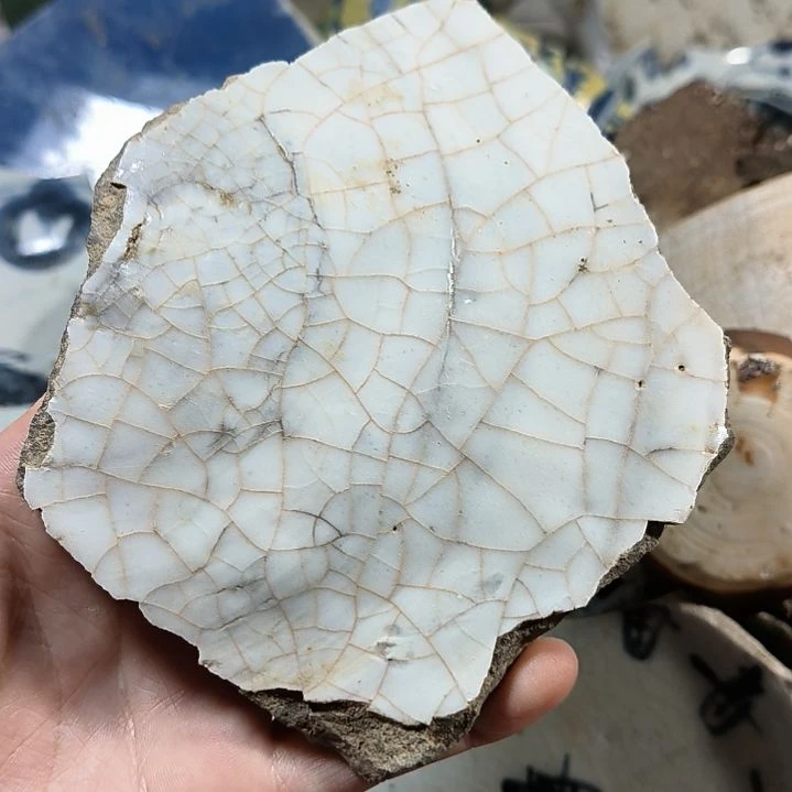瓷片瓷片瓷片瓷片瓷片