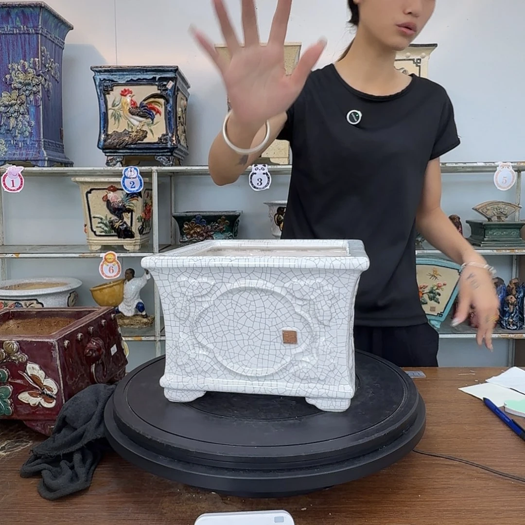 龙*我想要你和孩子一起走到世界