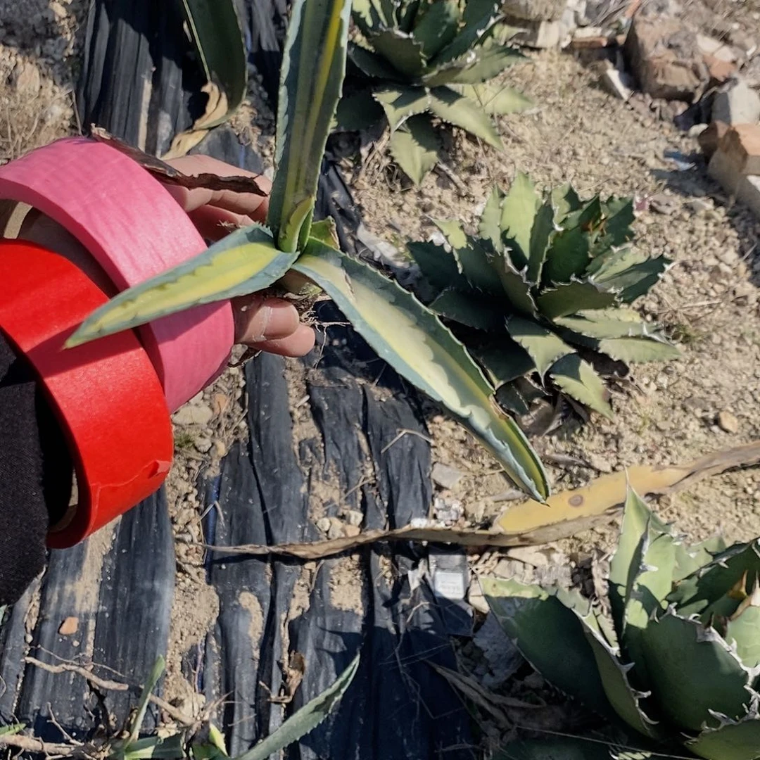 5128 专拍福利。