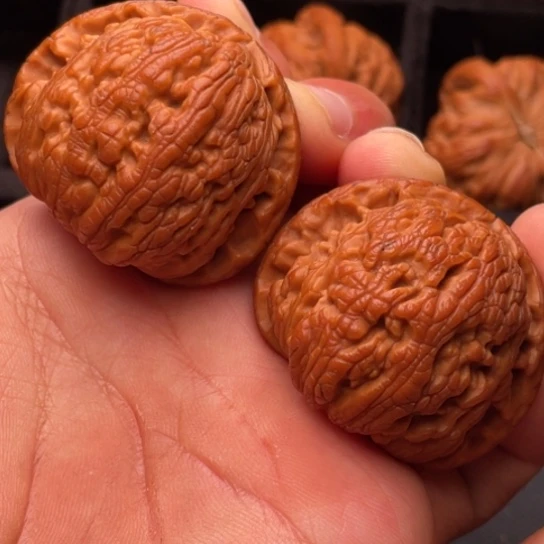 文玩核桃把件11111111111111