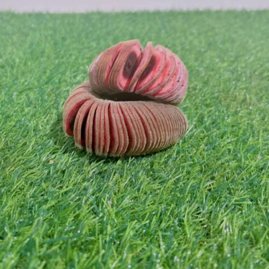 2鹿茸产地发货 直播选购