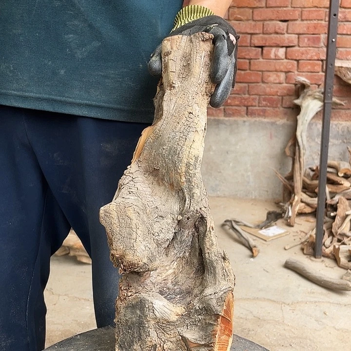 柏木竹**人崖柏崖柏雅吧