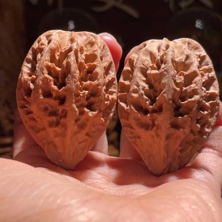 吊坠文玩核桃凹底龙脊58