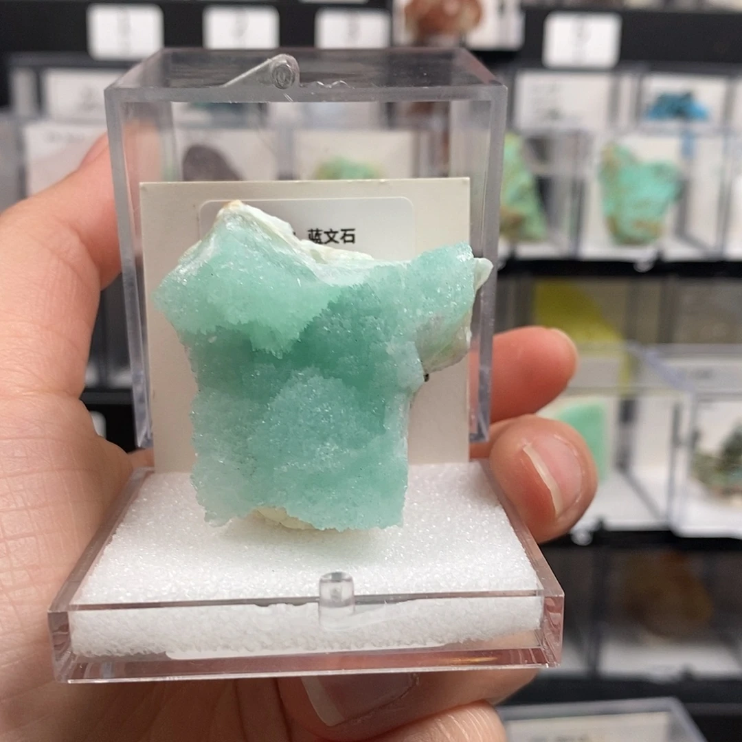 哇***唔有机玻璃直播间一单一双