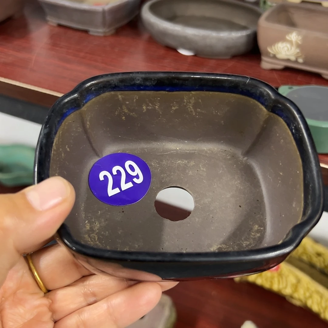 山**鬼对你的喜欢就如同这日子只增不减229