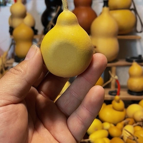 精品厚皮小夹扁葫芦