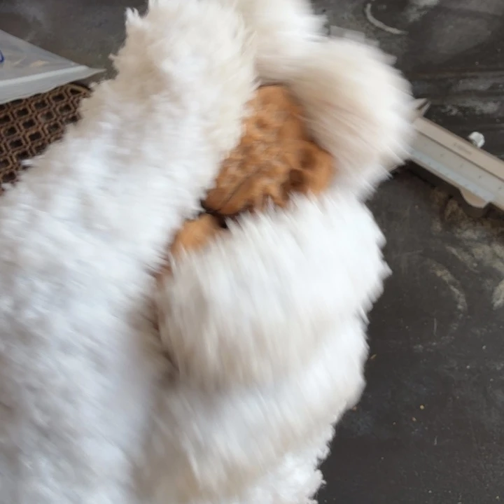 文玩核桃吊坠敦煌