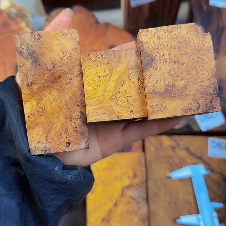 木李*样鬼柳尖叶木栖榄3个小料