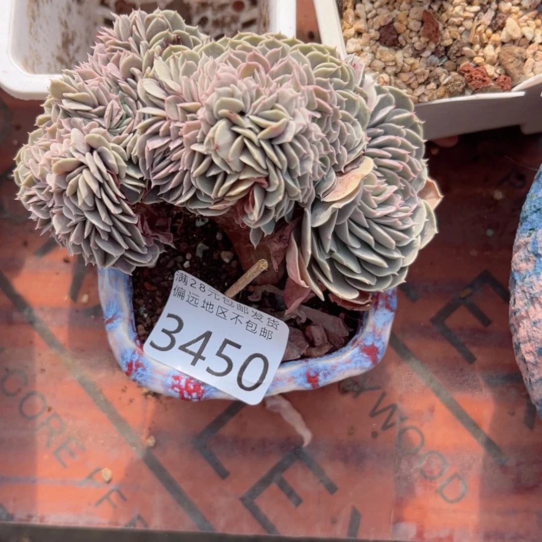 大3450；b c jh mv nb b b
