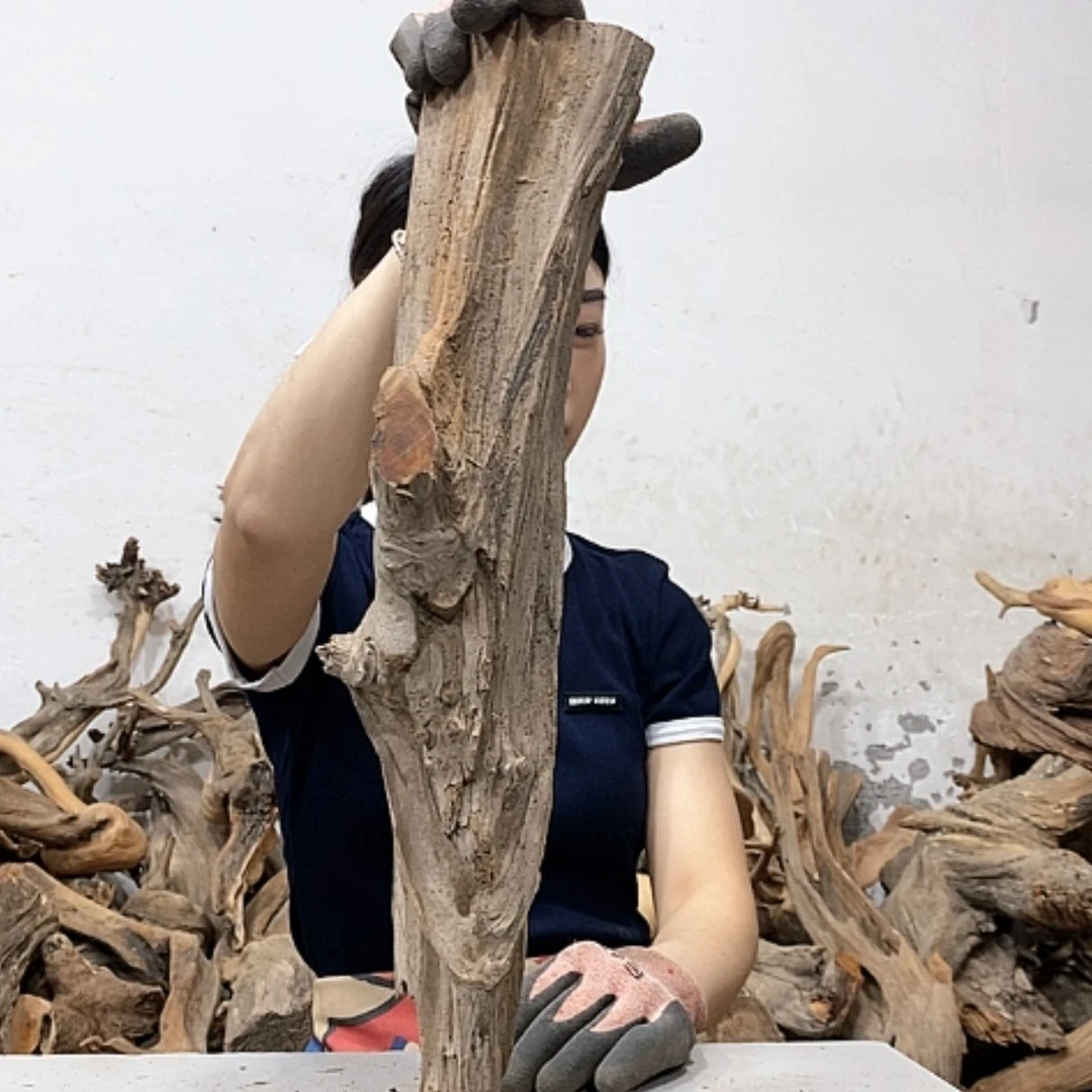 【闪购商品】柏木完****3我们都是好孩子呀