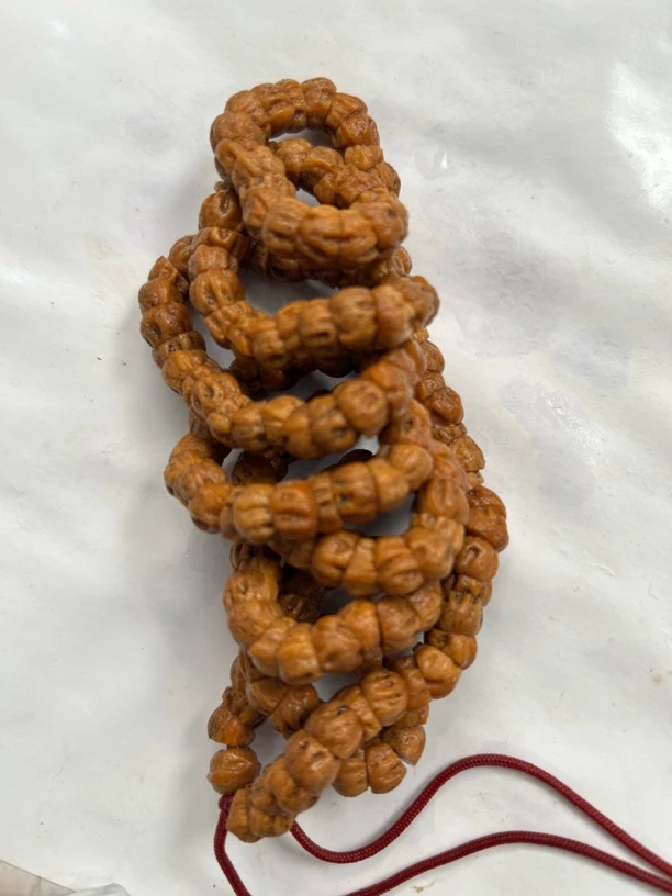 热振一哥《玉鬼肠》定制级百香籽