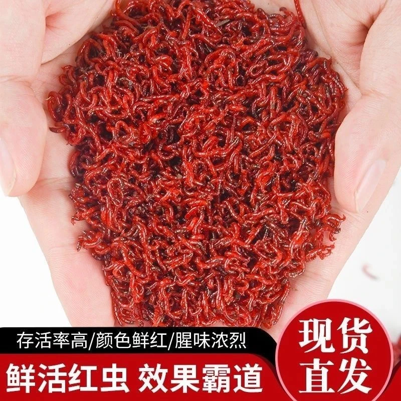 大公虫野钓神饵保护神器冬天必备拉饵肉夹馍