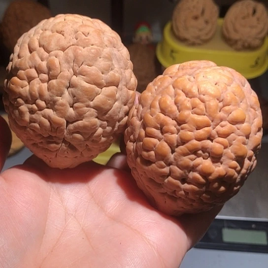 文玩核桃把件脑纹金刚色差练手
