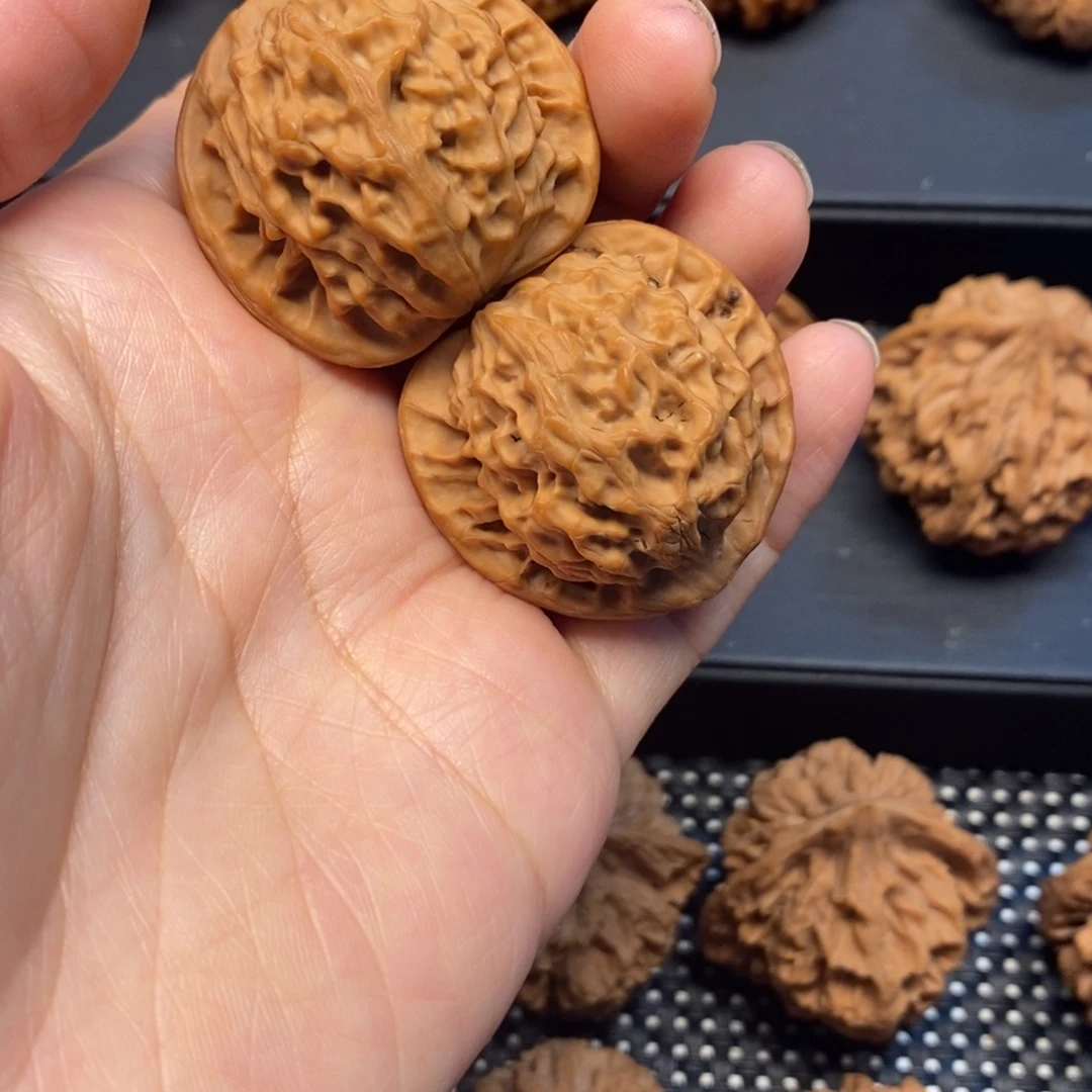 手串/手链核桃你要好好休息噢勒