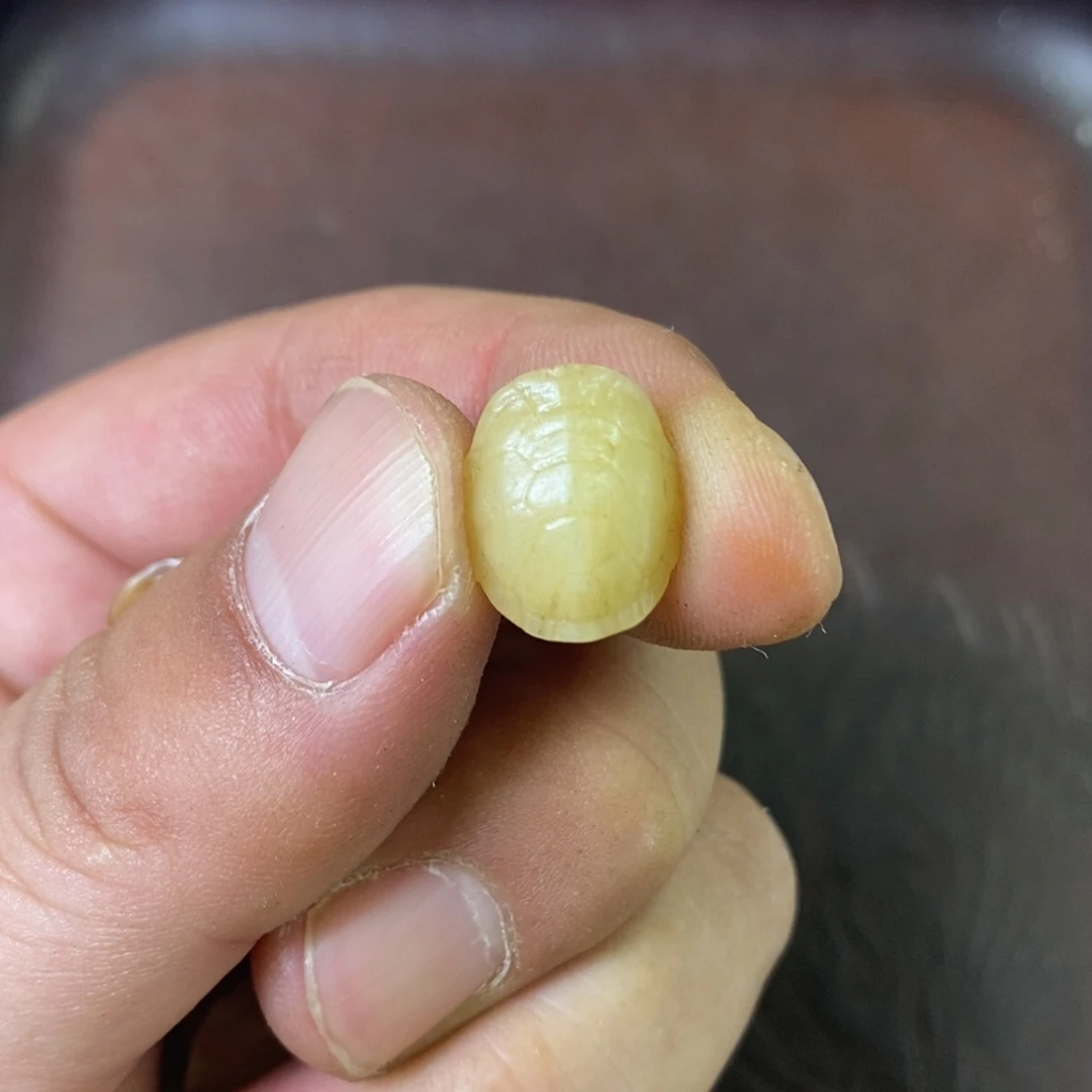 手串/手链驼骨配饰156