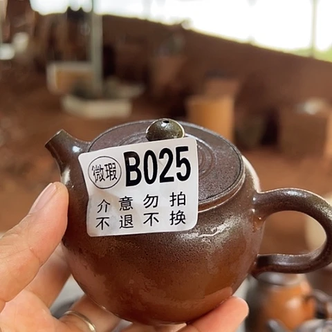 海***类戬谷龙窑柴烧茶壶025