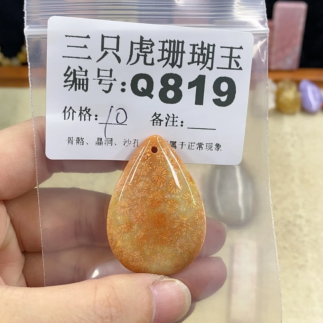 硅化珊瑚（珊瑚玉）1未镶嵌贪****虎