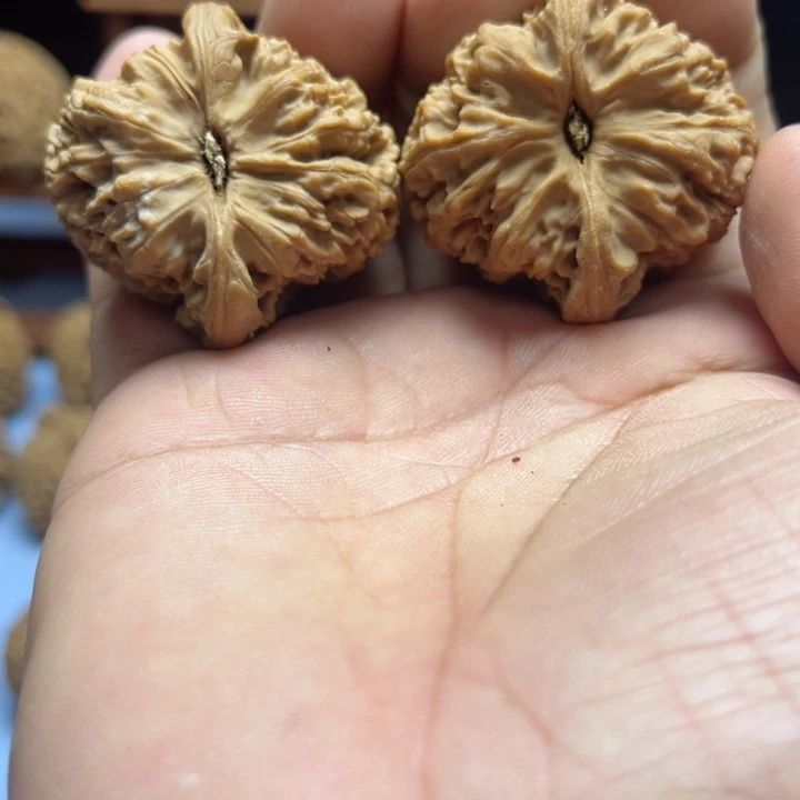 完全开放小*蜂南疆石