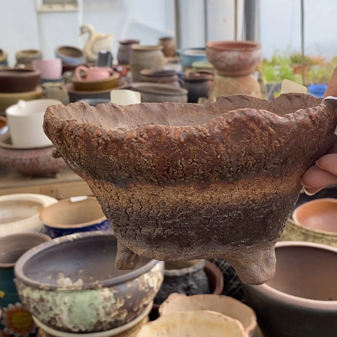 224号多肉盆口径19