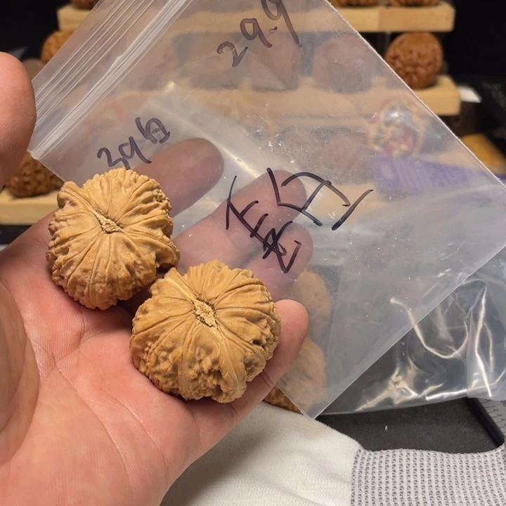 長***白把件文玩核桃白狮