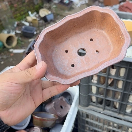 你说了就算吧反正是在说一