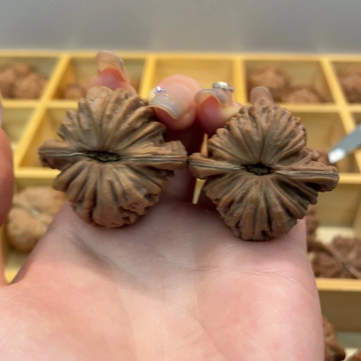 木质38 篓子 （福利）