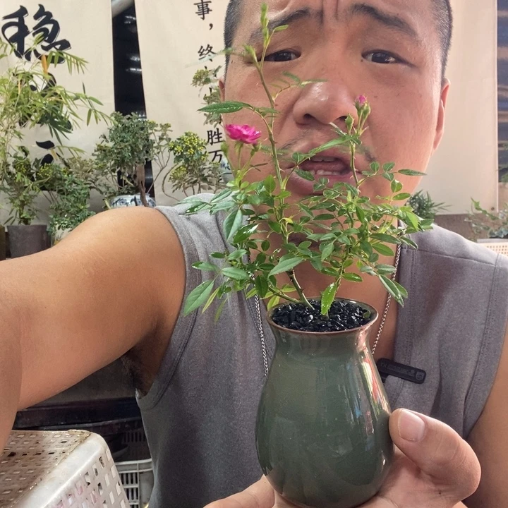 无花朵退款拉黑拉黑35