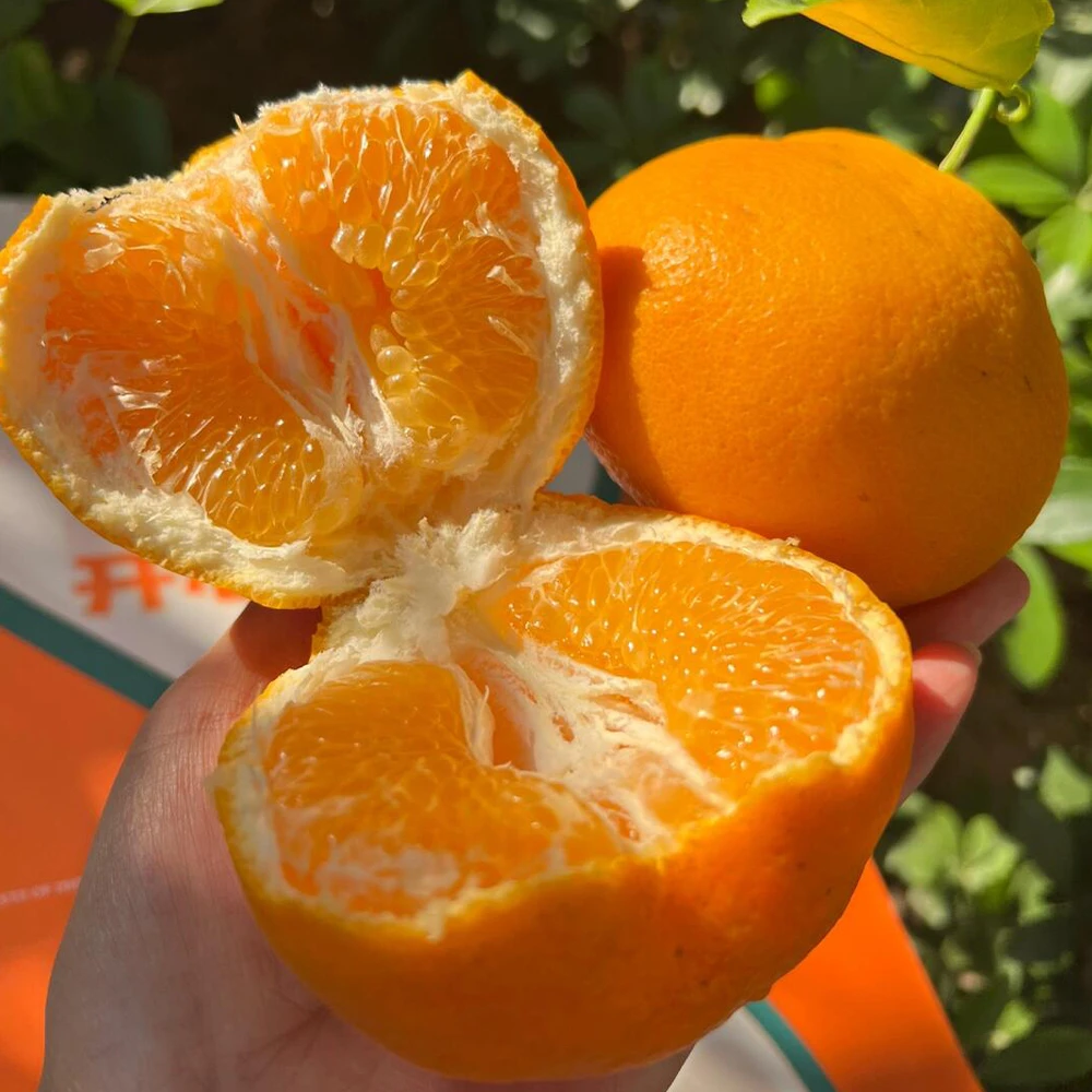 B17【京东快递】正宗四川柑橘自然熟当季整箱新鲜水果多汁