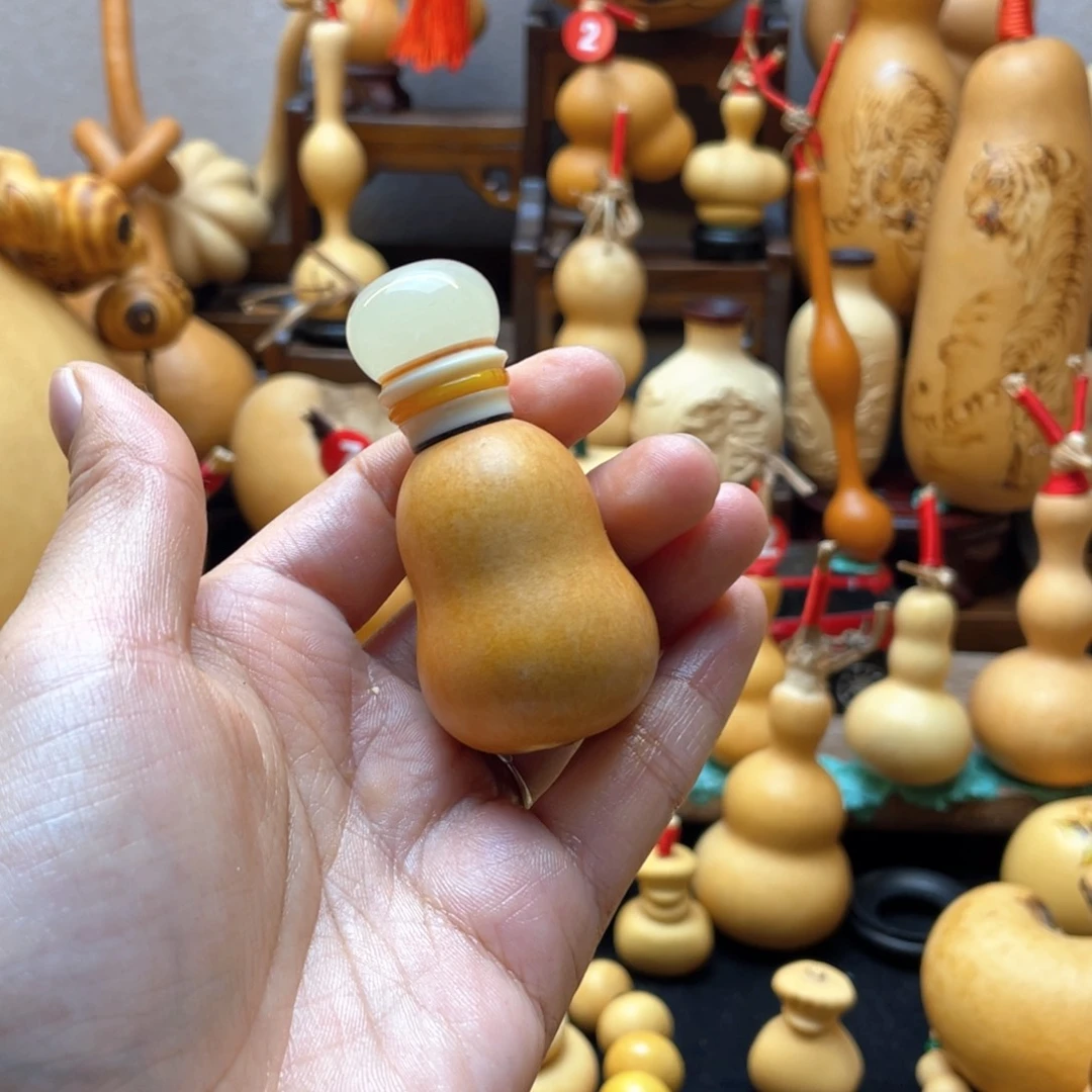 蓝*大自然的秘密第十一节你是谁