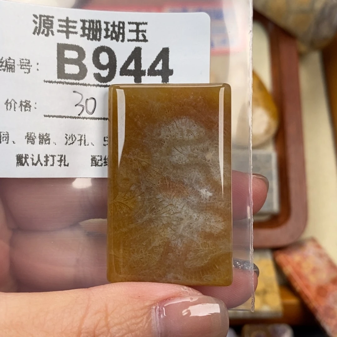 硅化玉颈饰未镶嵌天*健