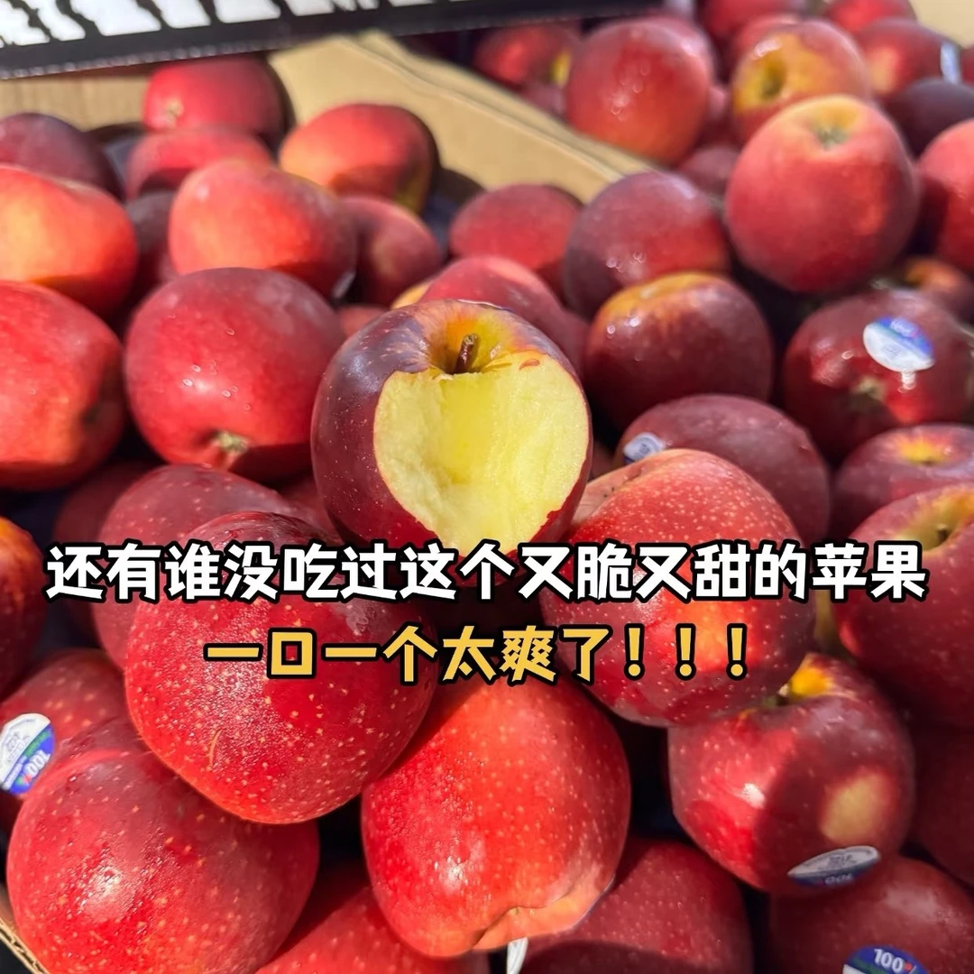 进口红玫瑰苹果  硬脆甜 好货高货 大果