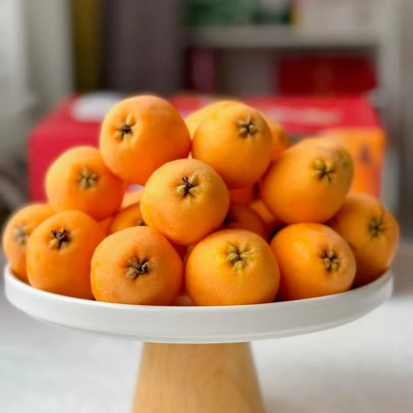 福建高山正宗仙游书峰枇杷早钟六号上市