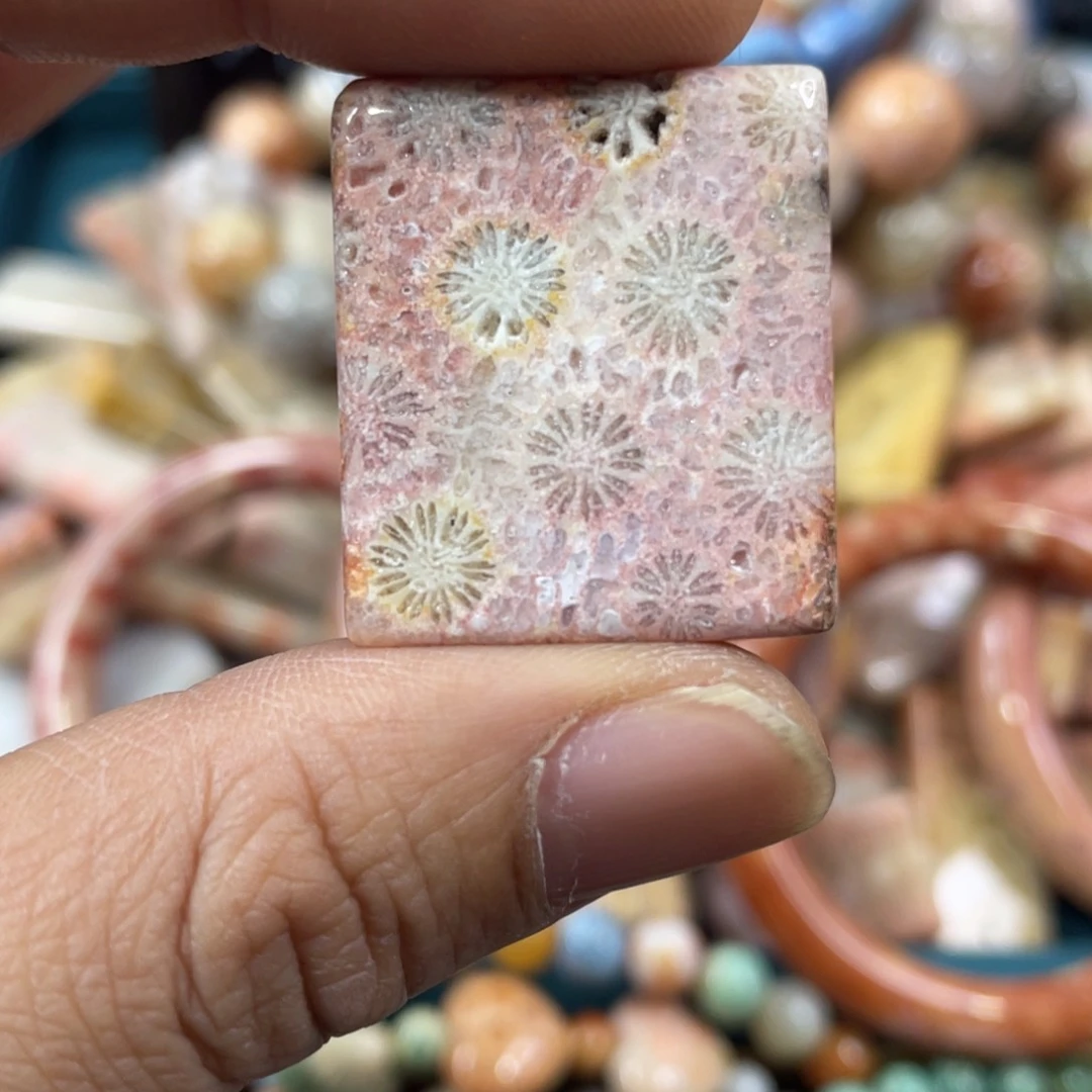 未镶嵌手镯硅化玉