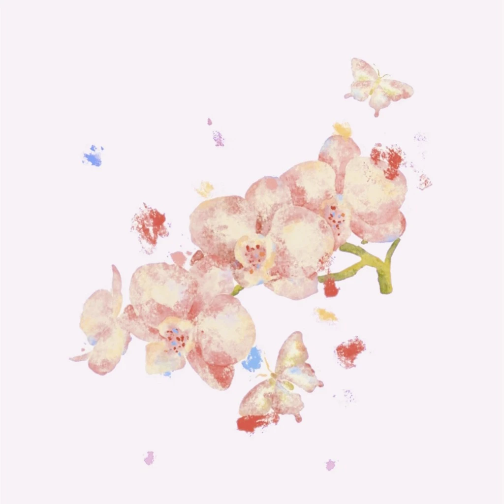 15号 蝴蝶兰  基地直发