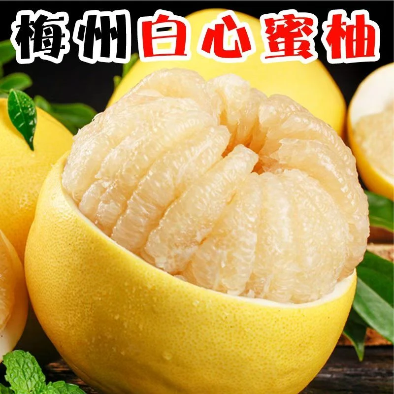 正宗梅州白肉蜜柚