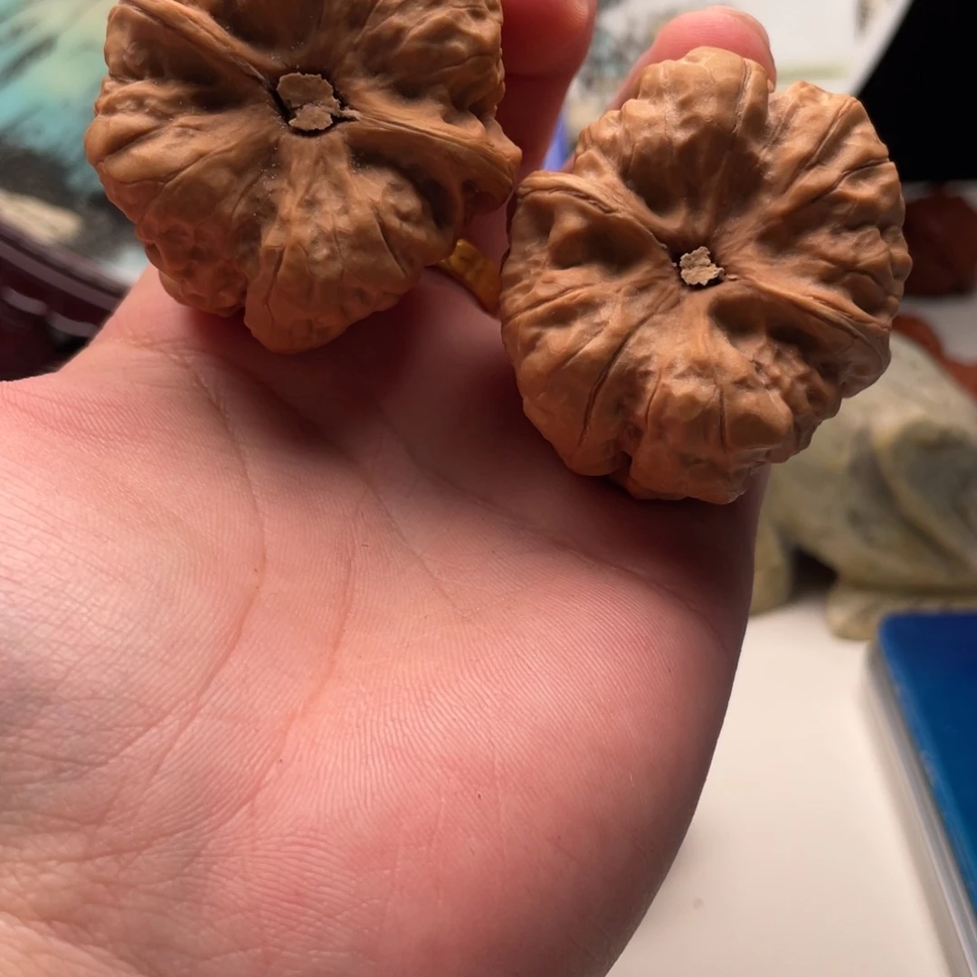 D***g核桃蛤蟆头文玩C05