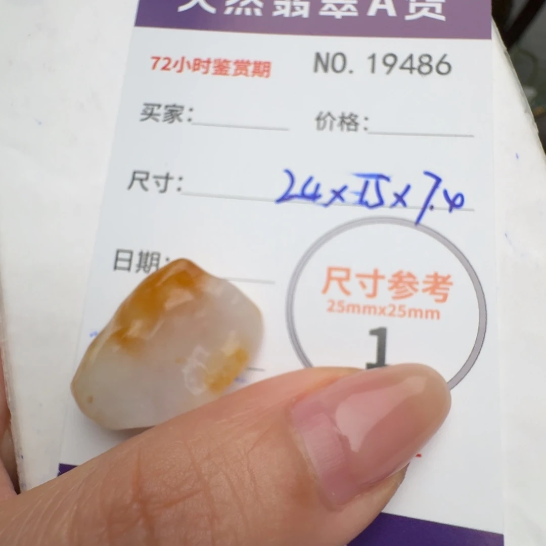 翡翠颈饰未镶嵌原石19468