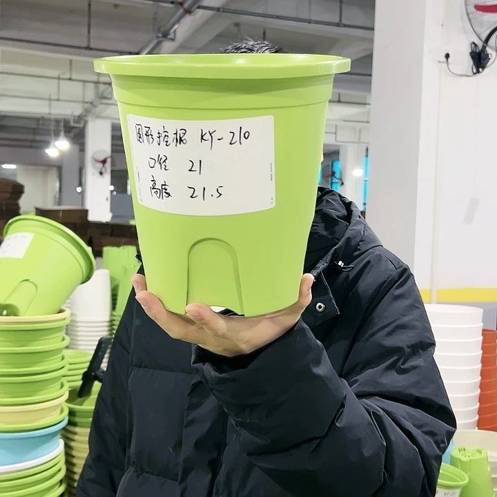 正品圆控口21高21果绿无托5只