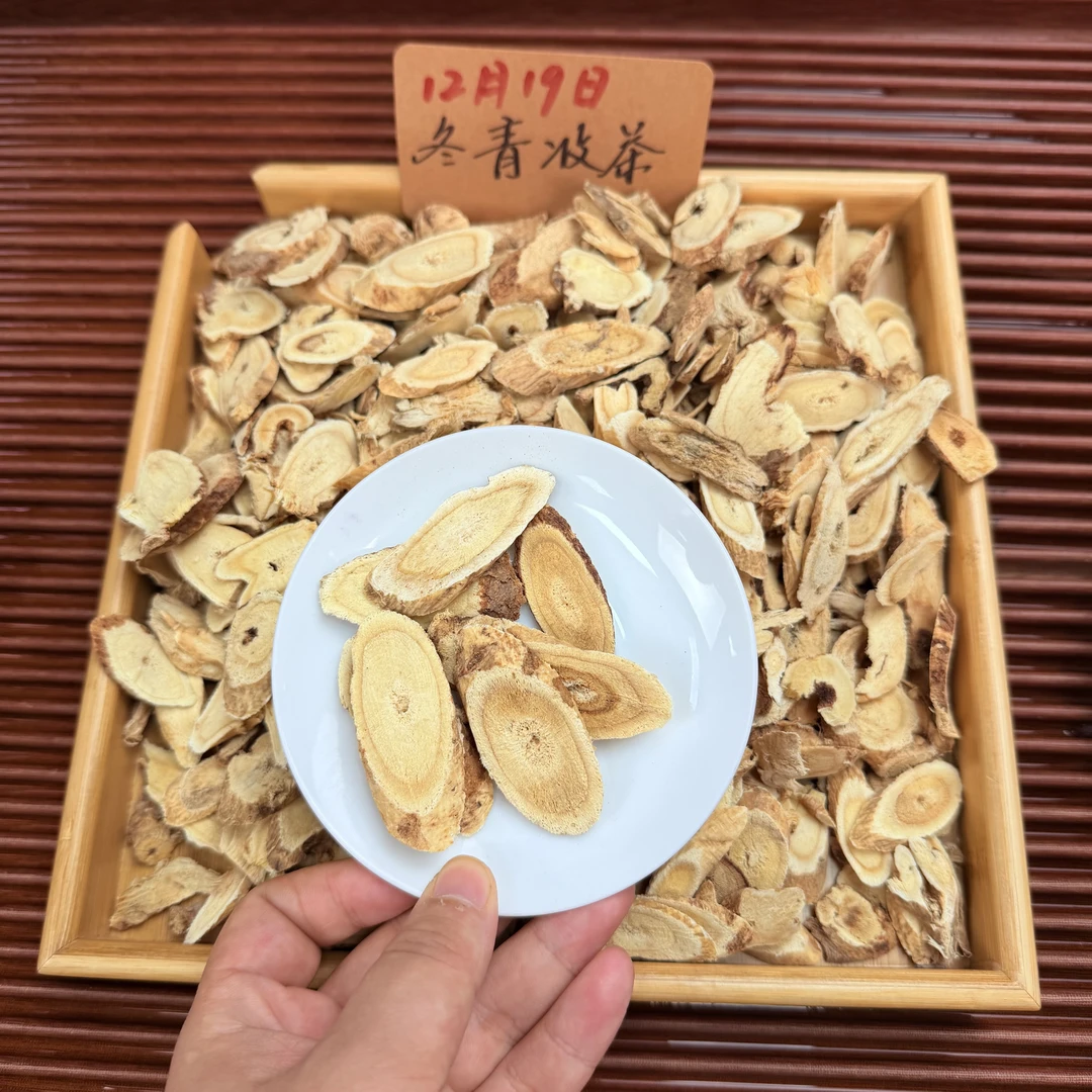 正北芪 阿拉善足年份老芪 百搭益身茶 冬青收茶