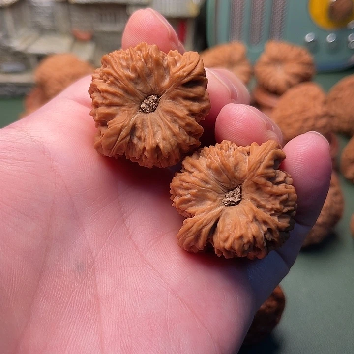 大酒杯凹底南将石