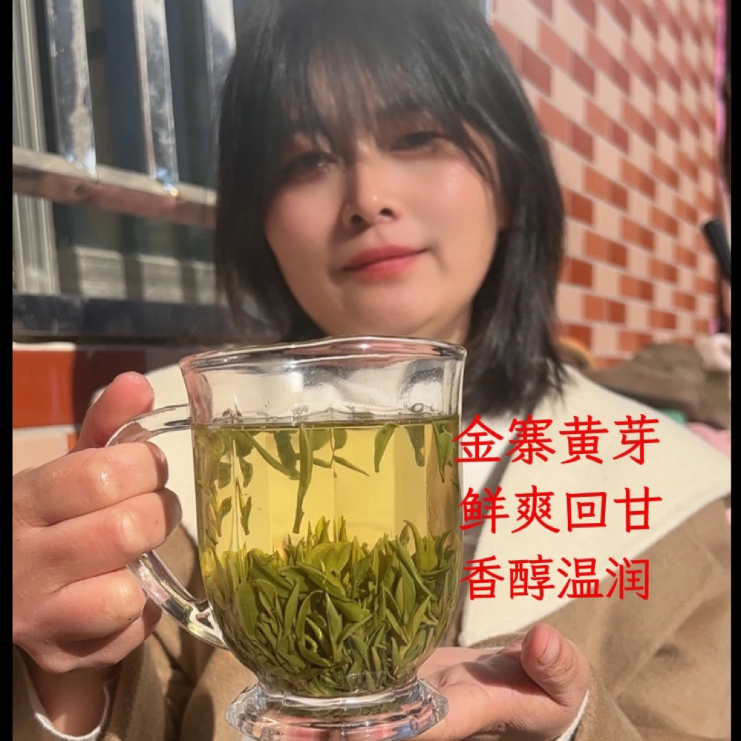 金寨黄芽2025新茶明前
