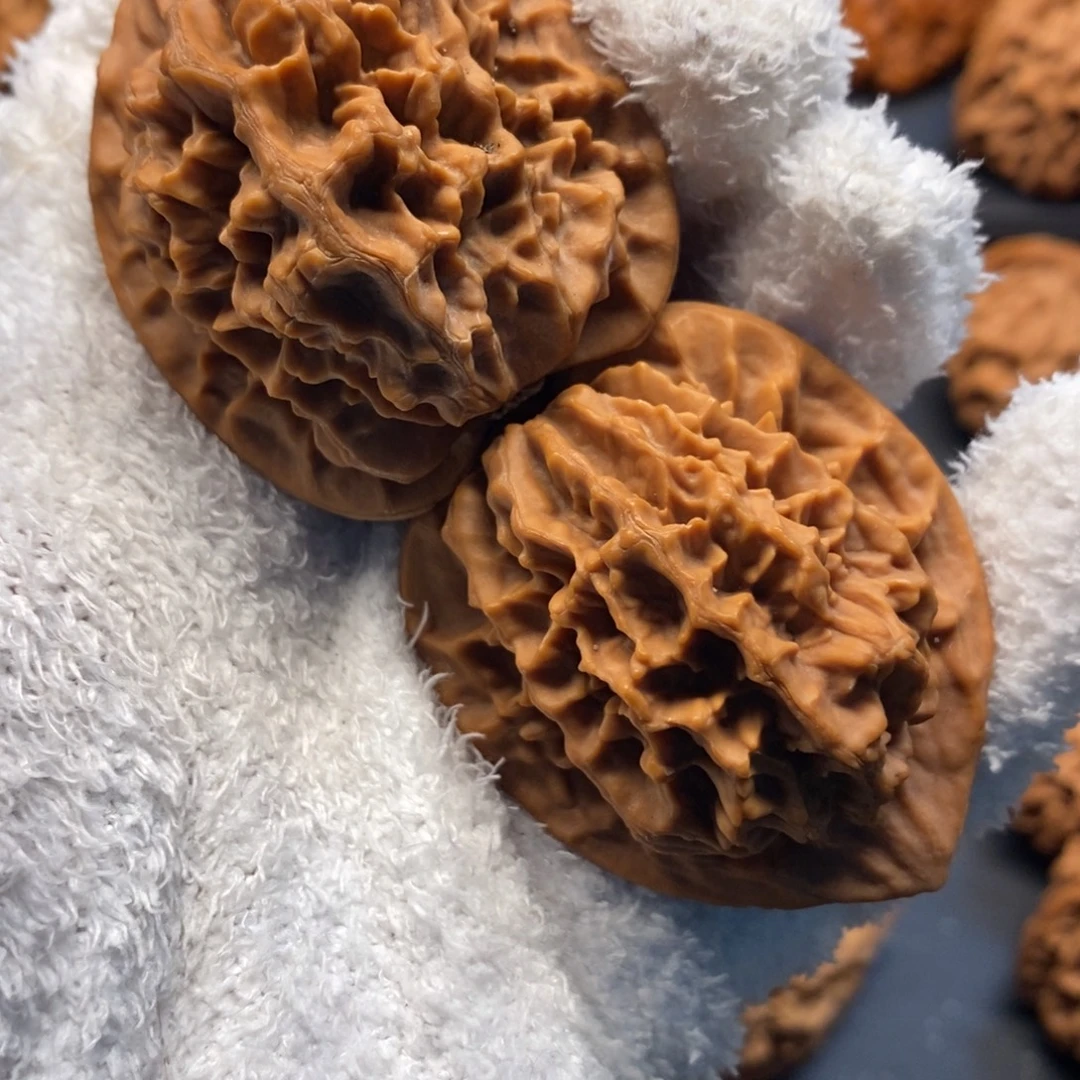 A***生43尺秦岭野生红皮官帽