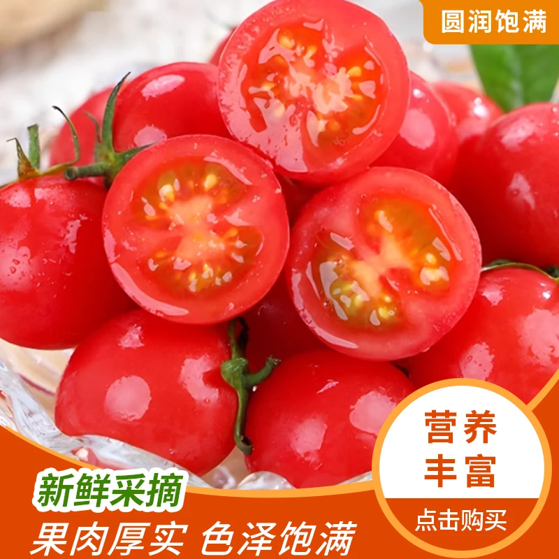 五彩小番茄沙瓤小西红柿圣女果蔬菜水果红黄果多色组合装现摘