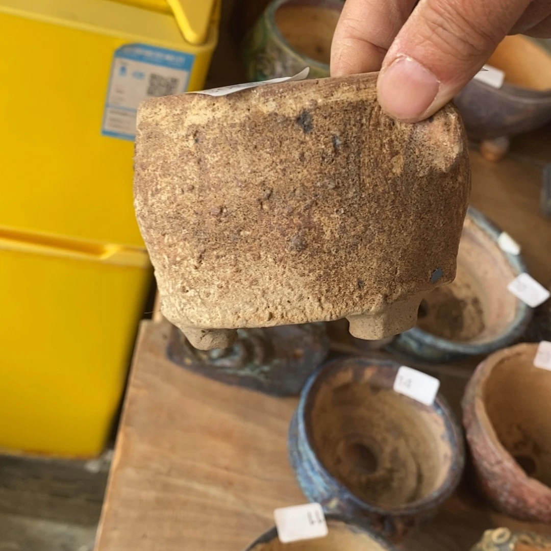 红陶?**?14家多肉盆一个呀