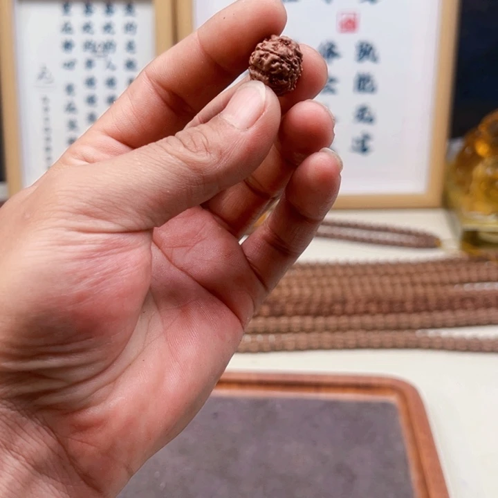 金刚菩提吊坠20尺寸原生态霸王花