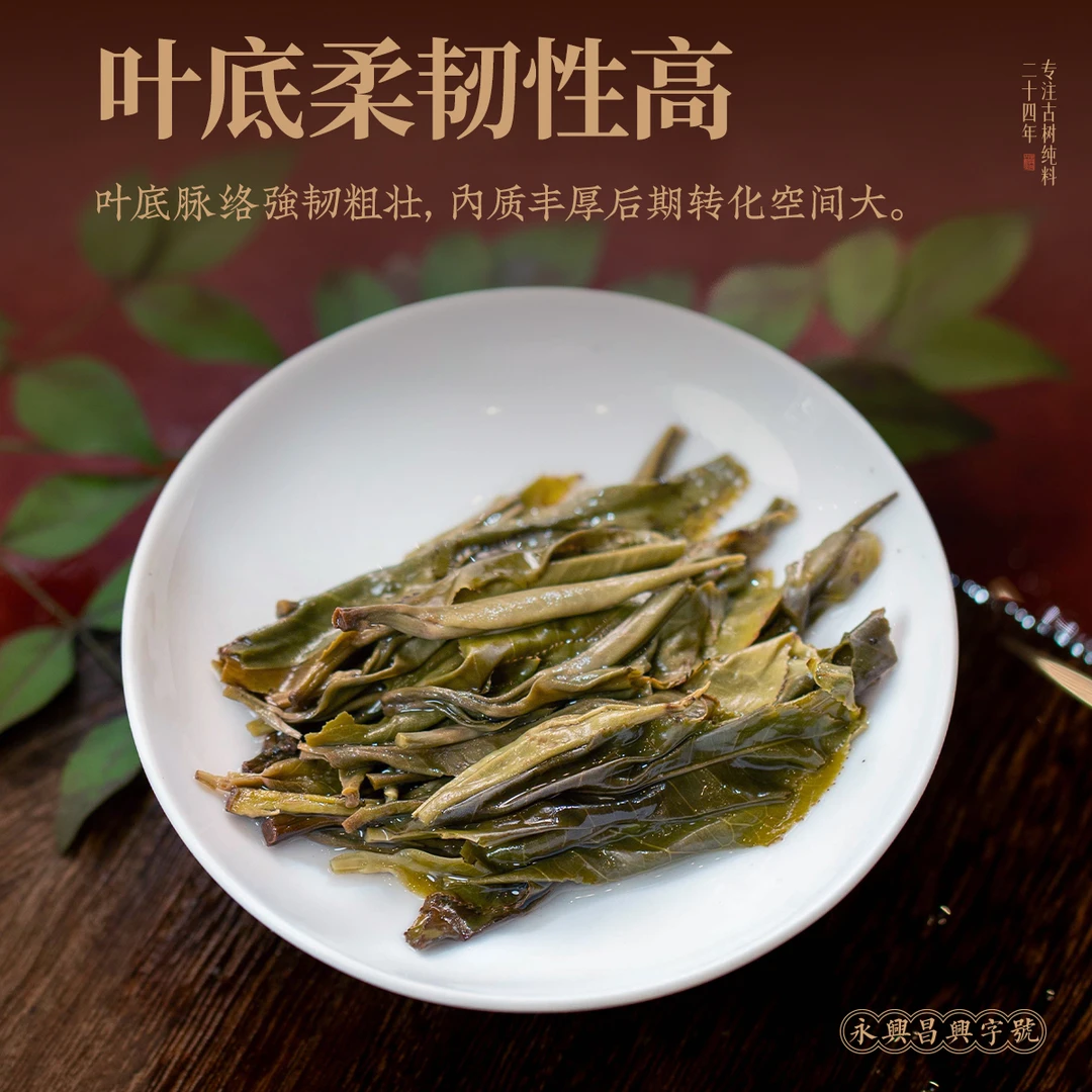 永兴昌2025年弯弓大庙古树生茶龙珠100克普洱茶普洱茶生茶