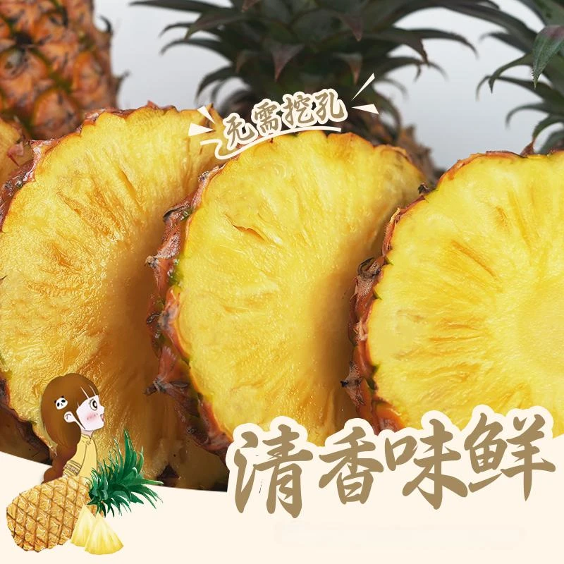【京东包邮】海南金钻凤梨无需挖孔不泡盐水香甜多汁