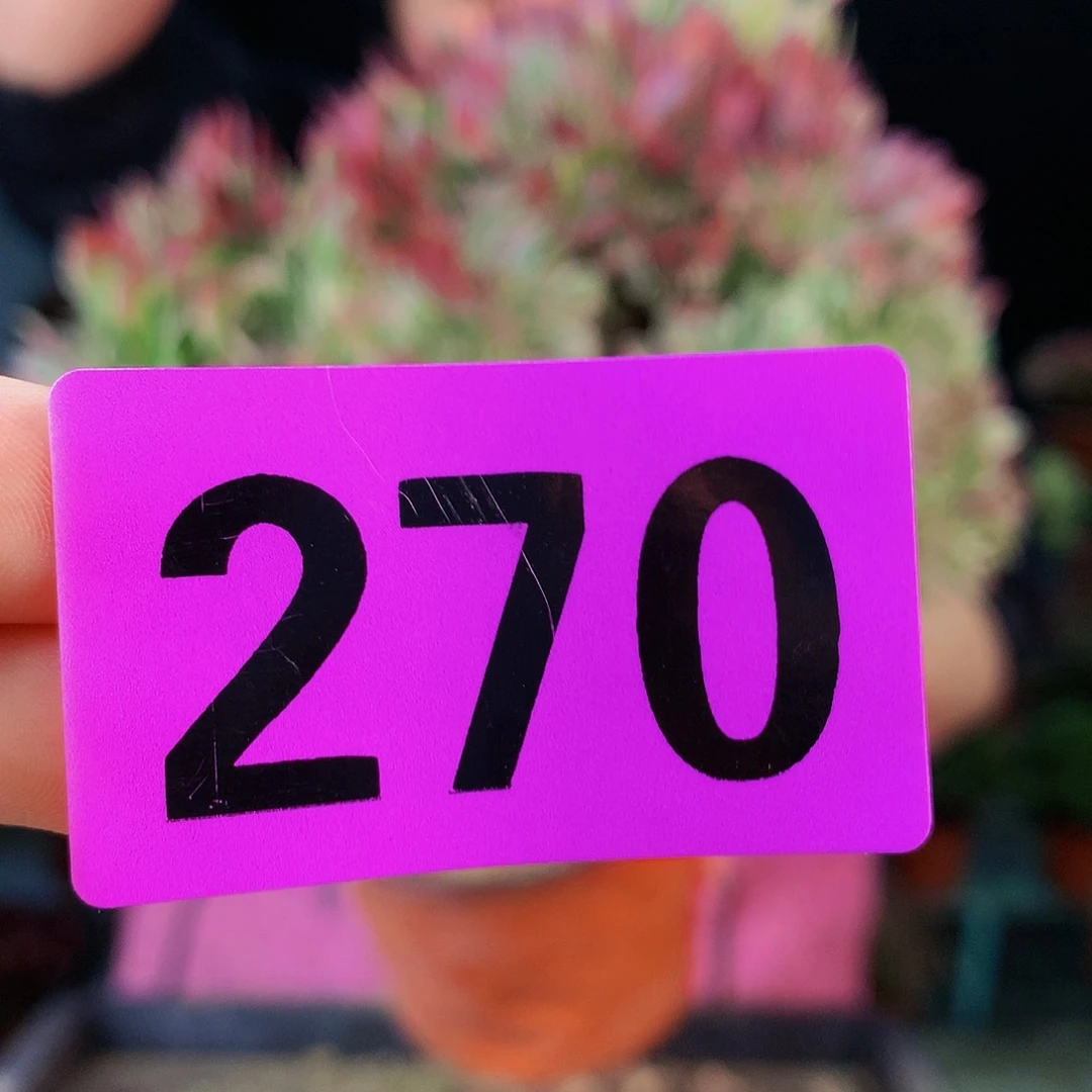 Sssssssssssssssss270